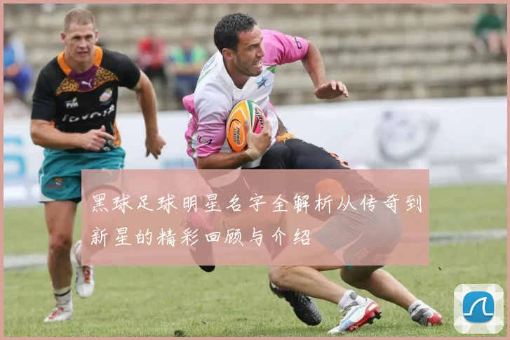 黑球足球明星名字全解析从传奇到新星的精彩回顾与介绍