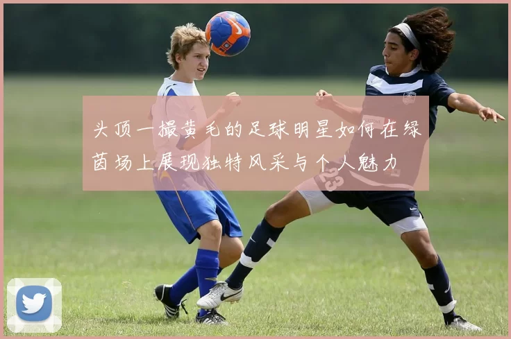 头顶一撮黄毛的足球明星如何在绿茵场上展现独特风采与个人魅力