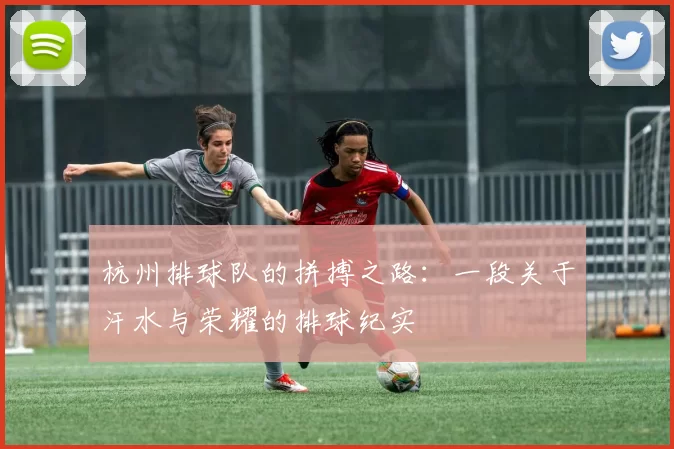 杭州排球队的拼搏之路：一段关于汗水与荣耀的排球纪实