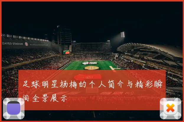 足球明星杨梅的个人简介与精彩瞬间全景展示
