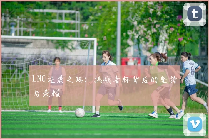 LNG逆袭之路：挑战者杯背后的坚持与荣耀