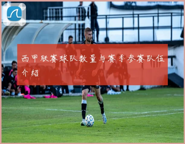 西甲联赛球队数量与赛季参赛队伍介绍