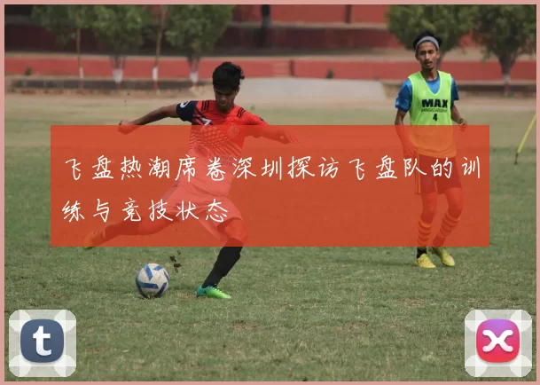 飞盘热潮席卷深圳探访飞盘队的训练与竞技状态