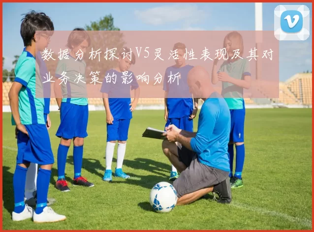 数据分析探讨V5灵活性表现及其对业务决策的影响分析