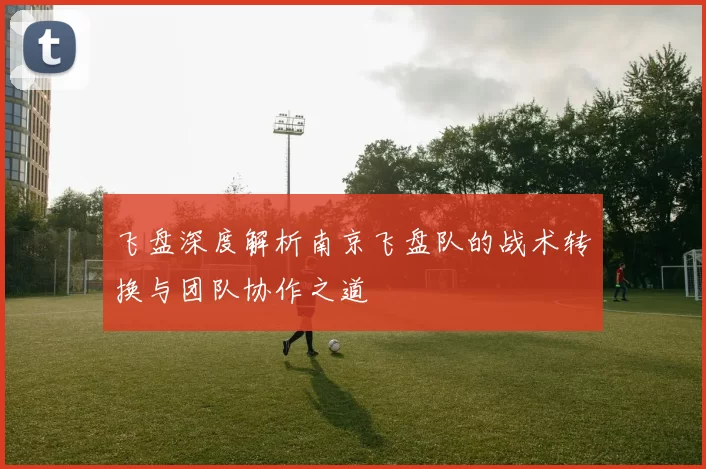 飞盘深度解析南京飞盘队的战术转换与团队协作之道