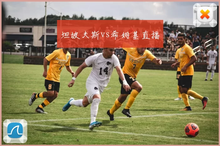 坦坡夫斯vs希姆基直播