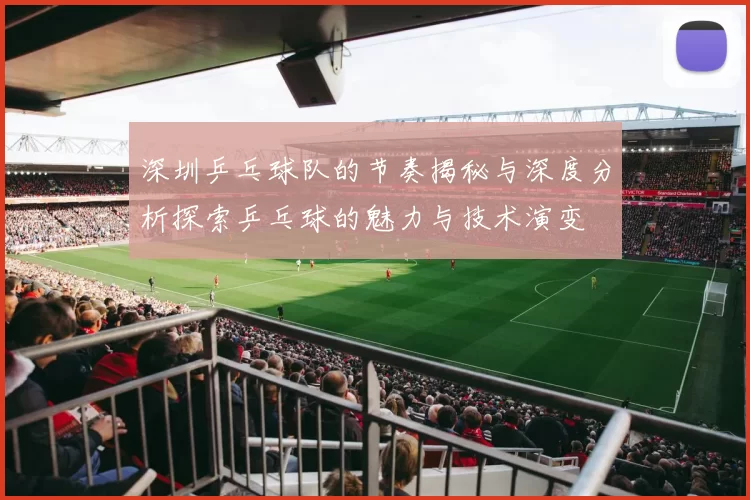 深圳乒乓球队的节奏揭秘与深度分析探索乒乓球的魅力与技术演变