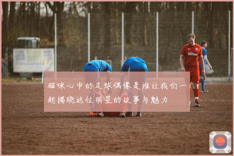 猫咪心中的足球偶像是谁让我们一起揭晓这位明星的故事与魅力
