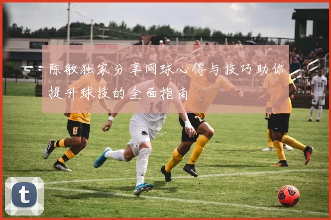 陈敏独家分享网球心得与技巧助你提升球技的全面指南