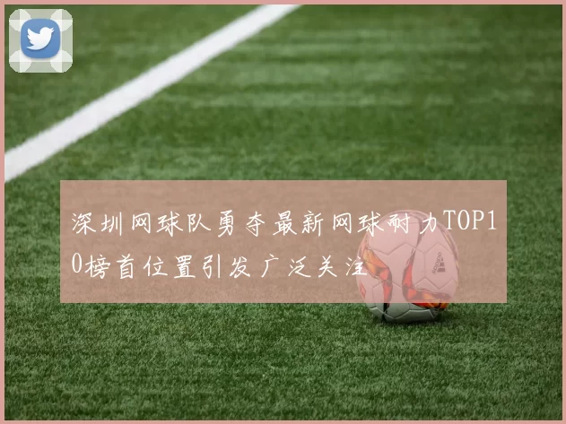深圳网球队勇夺最新网球耐力TOP10榜首位置引发广泛关注