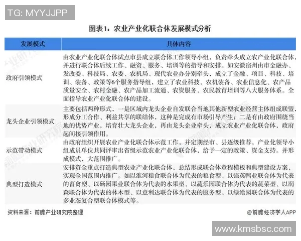 中国足球超级联赛发展现状与未来展望：机遇、挑战与全球化进程分析