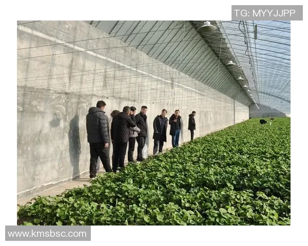 生物科技创新推动医疗、农业和环境可持续发展新突破 生物科技创新推动医疗、农业和环境可持续发展新突破