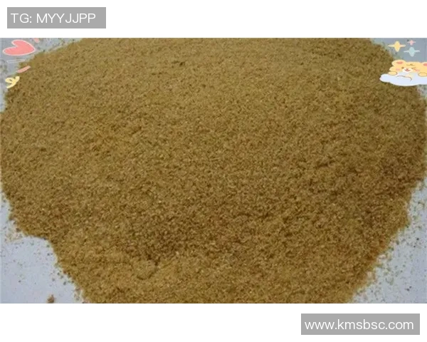 刘敏独家分享篮球心得与技巧助你提升球技的全面指南