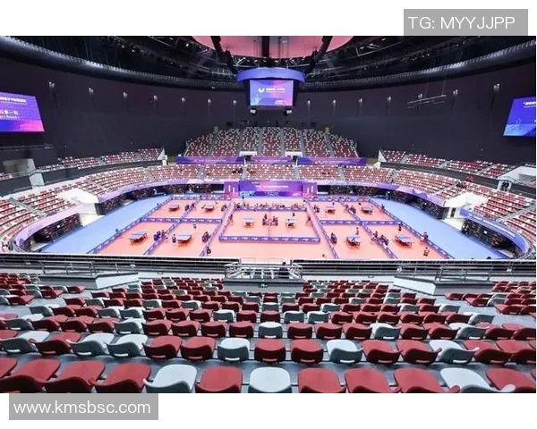 杭州乒乓球队运营策略深度分析与发展前景展望