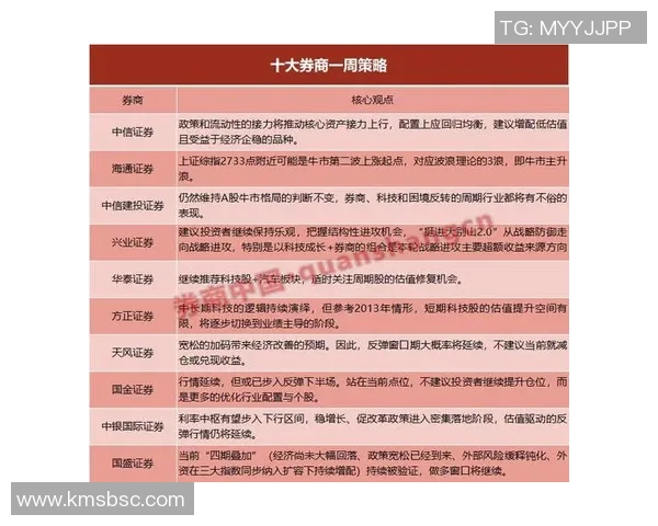 深入分析上海排球队的进攻策略与战术特点探讨