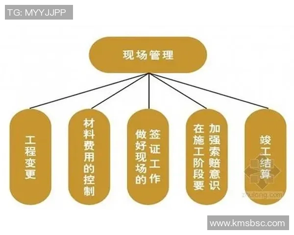 重庆飞盘队的战术意识与团队协作探讨及其对比赛表现的影响分析